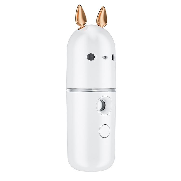 Portable Moisturizing Spray